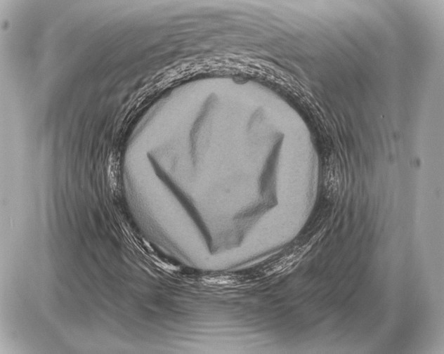 X0000085821490200704091618