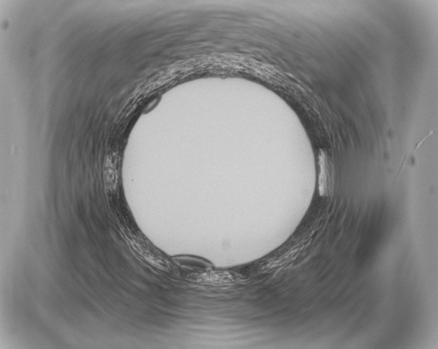 X0000085821491200704091618