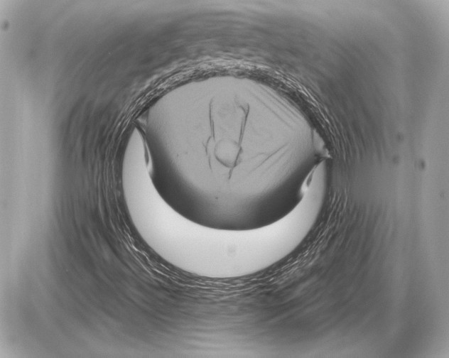 X0000085821492200704091618