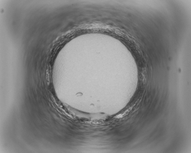 X0000085821493200704091618