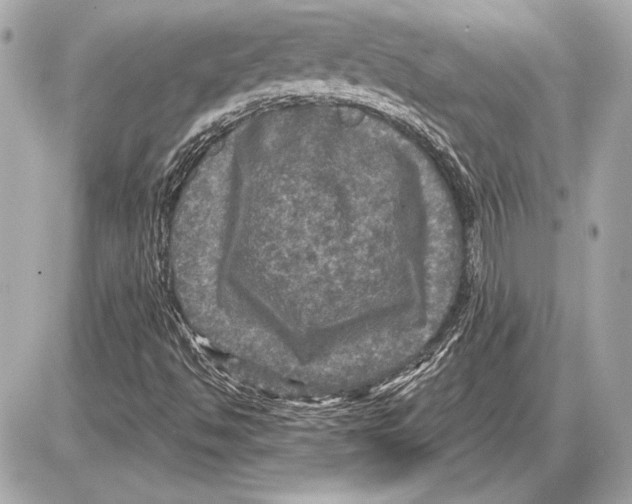 X0000085821494200704091619