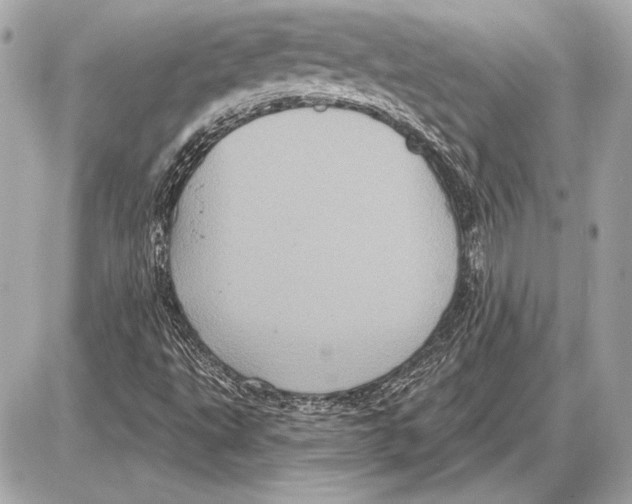 X0000085821495200704091619