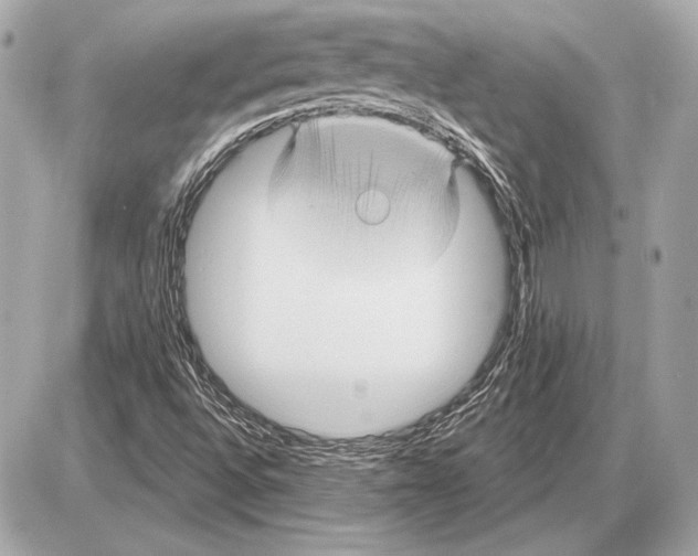 X0000085821496200704091619