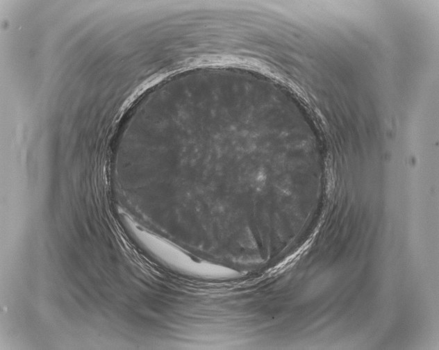 X0000085821497200704091619