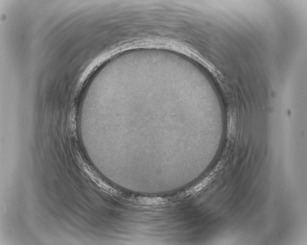 X0000085821498200704091619