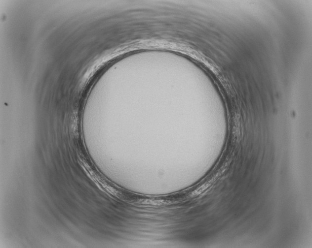 X0000085821499200704091619