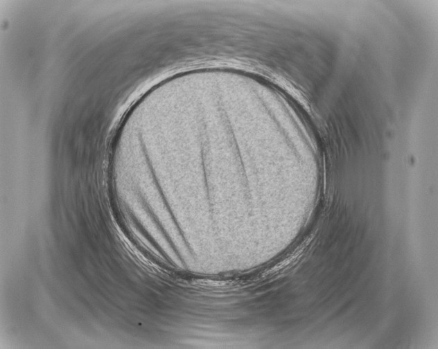 X0000085821500200704091619