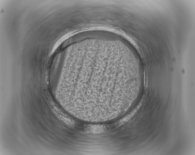 X0000085821501200704091619