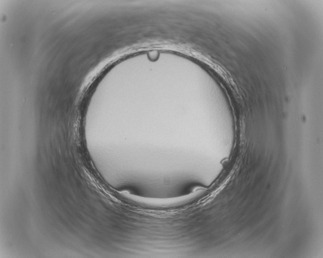 X0000085821502200704091619