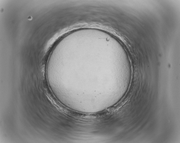 X0000085821503200704091619