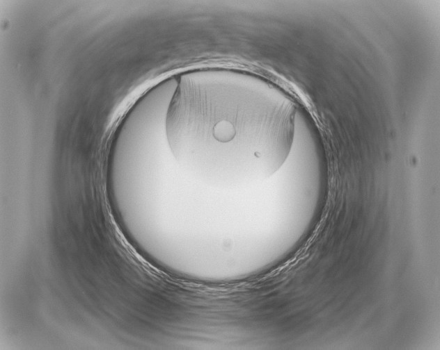 X0000085821504200704091619