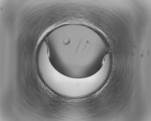 X0000085821506200704091619