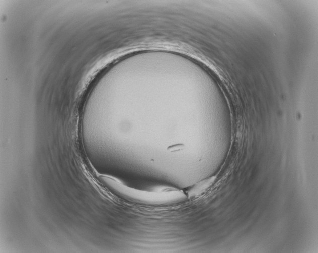 X0000085821507200704091619