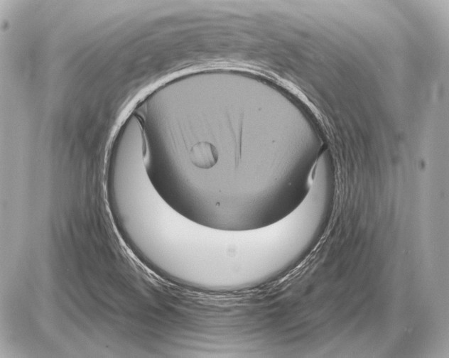 X0000085821508200704091619