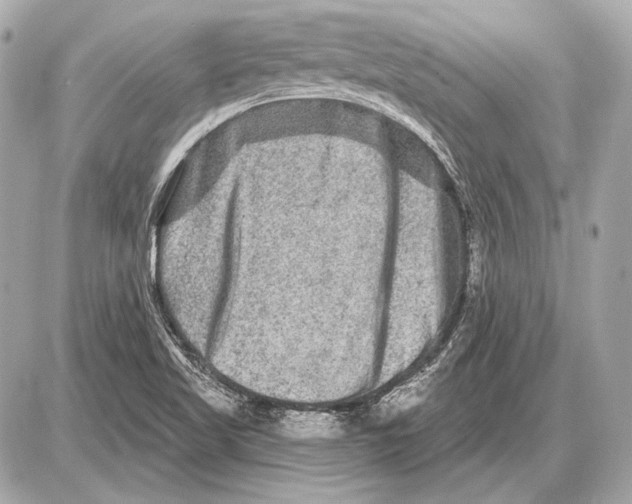 X0000085821509200704091619