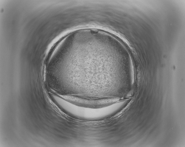 X0000085821510200704091619