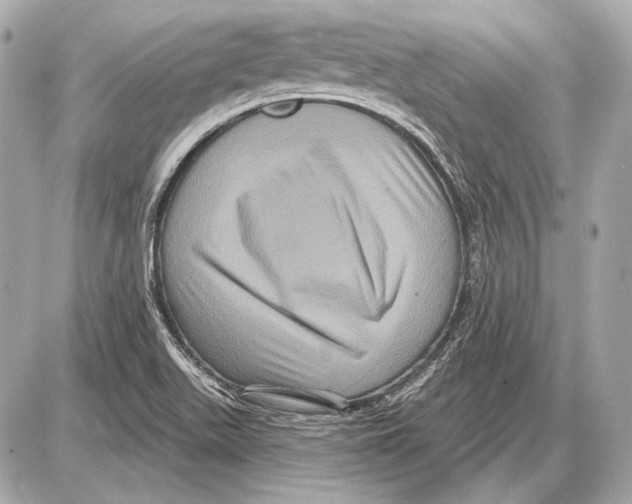 X0000085821511200704091619