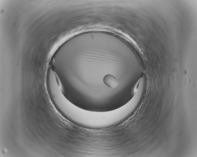 X0000085821512200704091619