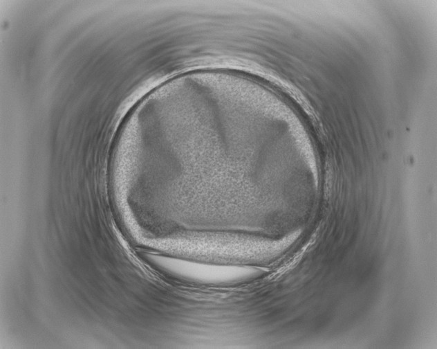 X0000085821513200704091619