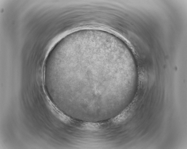 X0000085821514200704091619