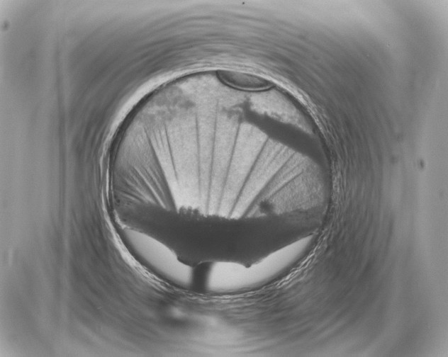 X0000085821515200704091619