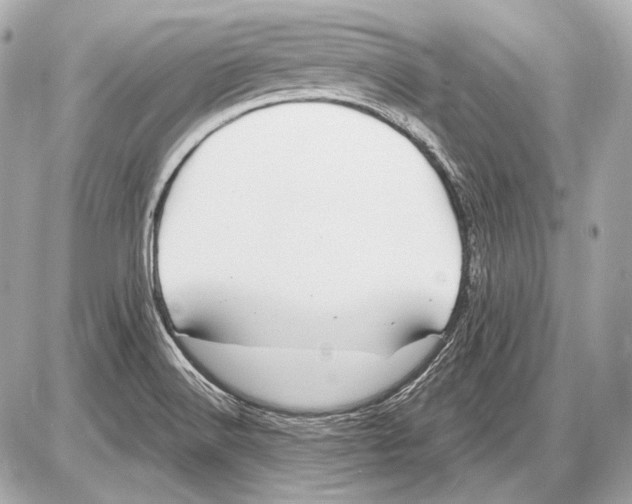 X0000085821516200704091619