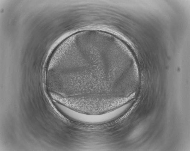 X0000085821517200704091619