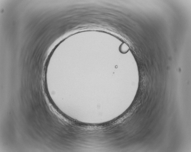 X0000085821518200704091619