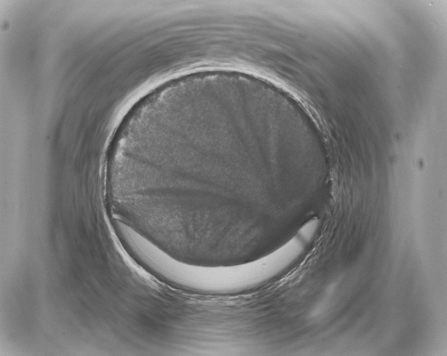 X0000085821519200704091619