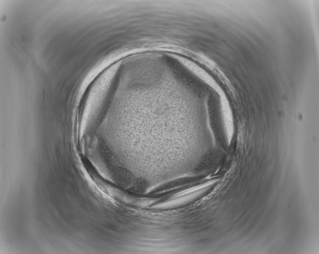 X0000085821520200704091619