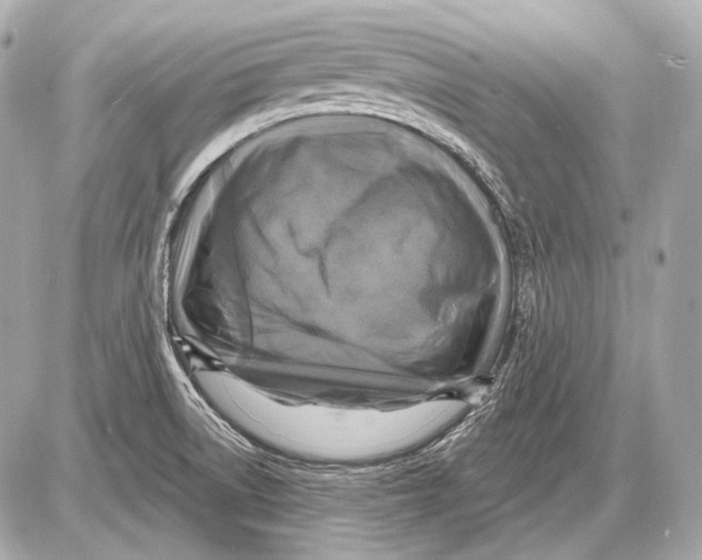 X0000085821522200704091619