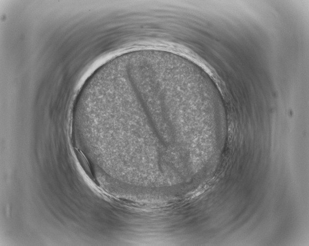 X0000085821523200704091619