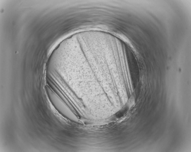 X0000085821524200704091619