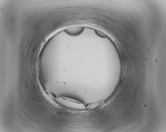 X0000085821526200704091619