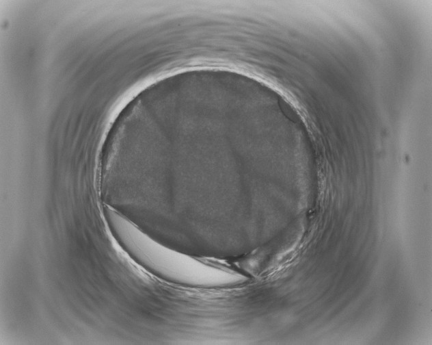 X0000085821527200704091619