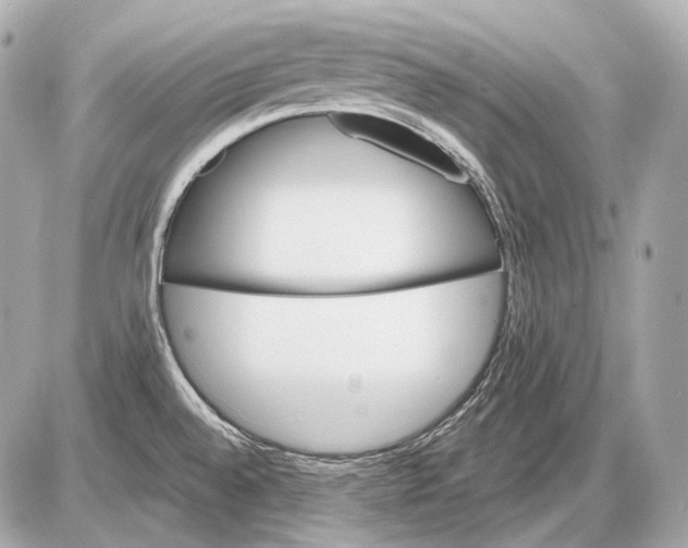 X0000085821528200704091619