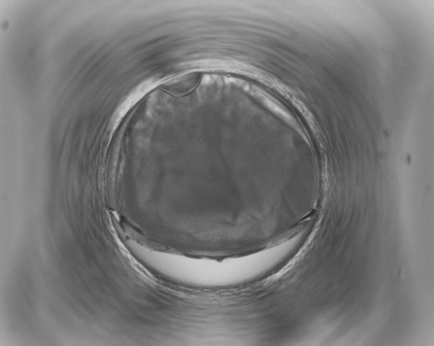 X0000085821529200704091619