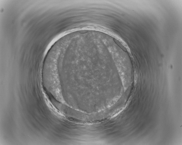 X0000085821530200704091619