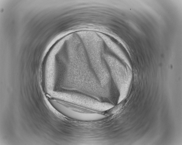 X0000085821531200704091619