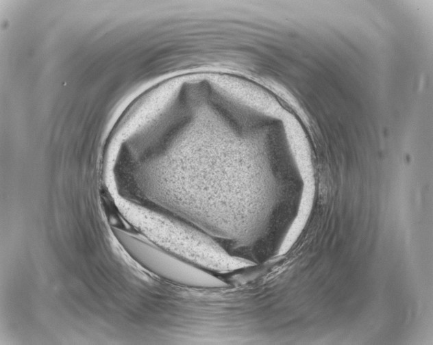 X0000085821532200704091619