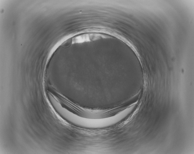 X0000085821533200704091619