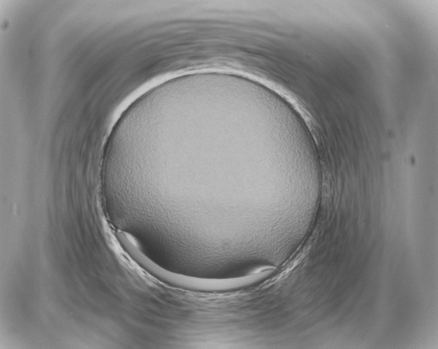 X0000085821534200704091619