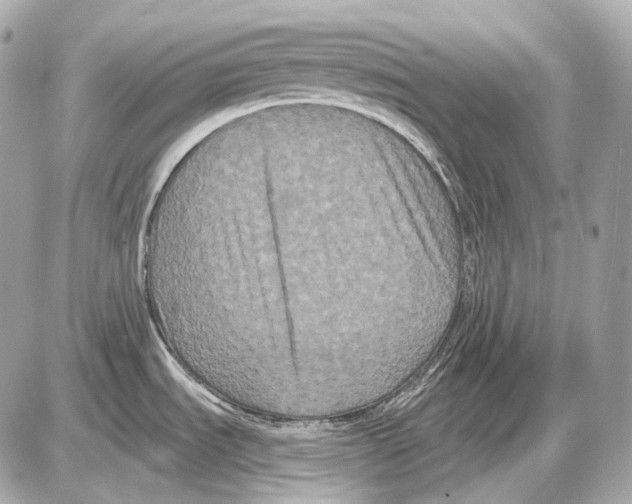 X0000085821535200704091619