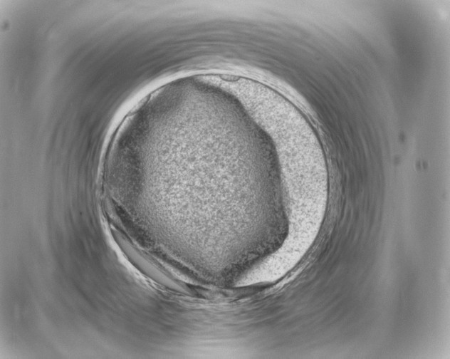 X0000085821536200704091619