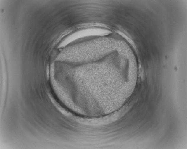 X0000085820013200704132024