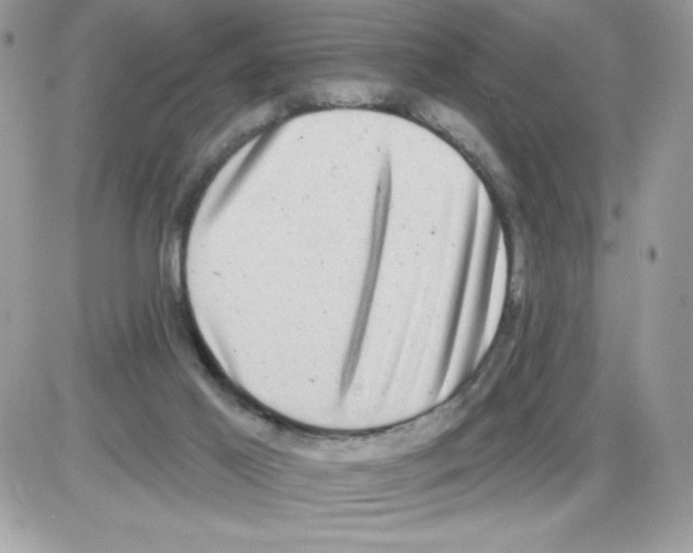 X0000085820021200704132023