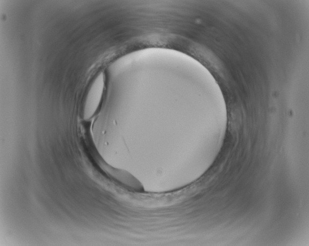 X0000085820023200704132023