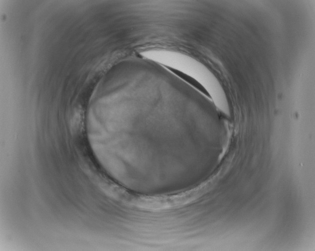 X0000085820029200704132023