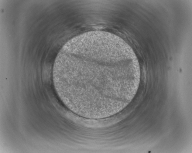 X0000085820030200704132023