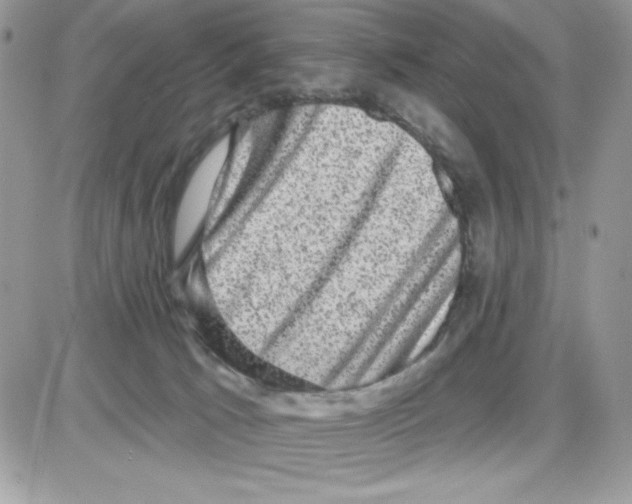 X0000085820033200704132023